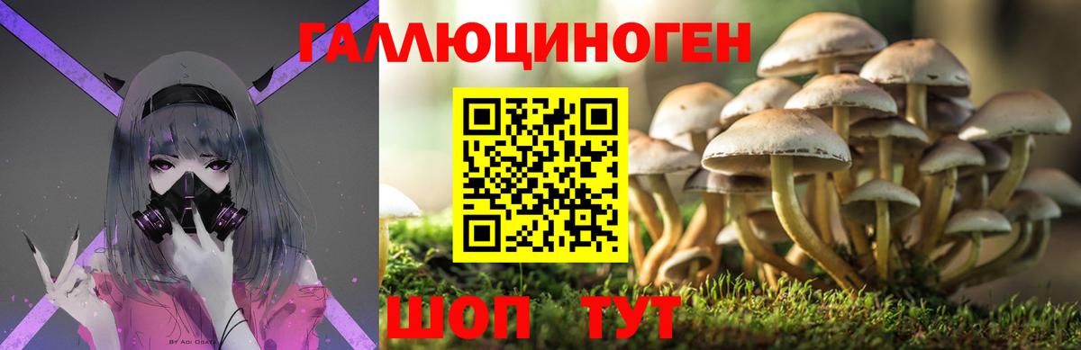 Галлюциногенные грибы ЛСД  Вход с VPN  Дзержинск  Псилоцибиновые грибы мицелий 