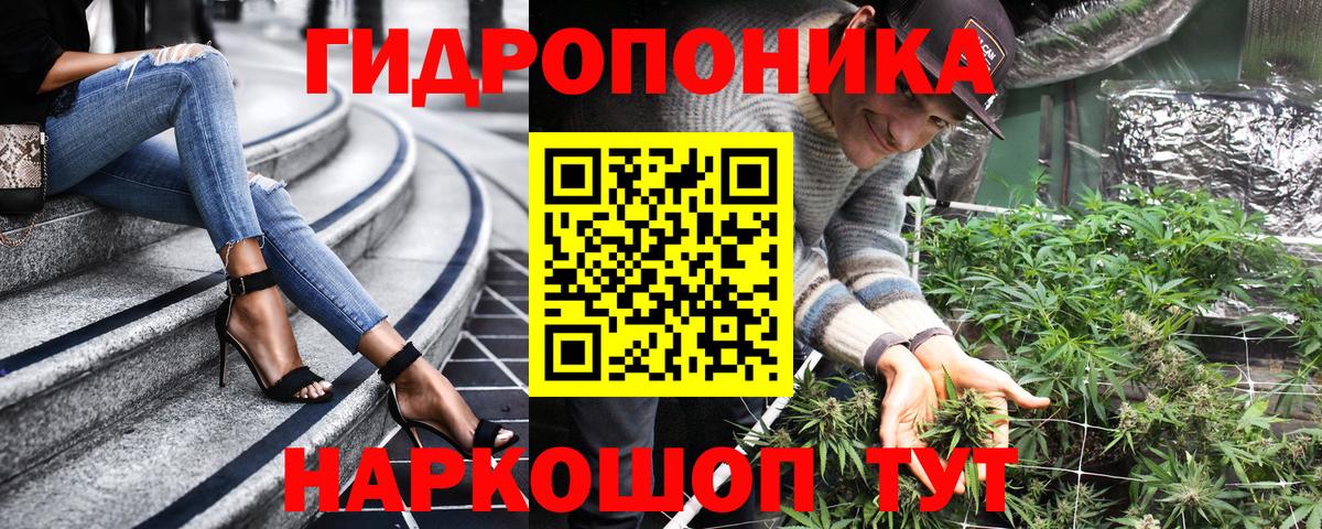 Бошки Шишки семена Дзержинск